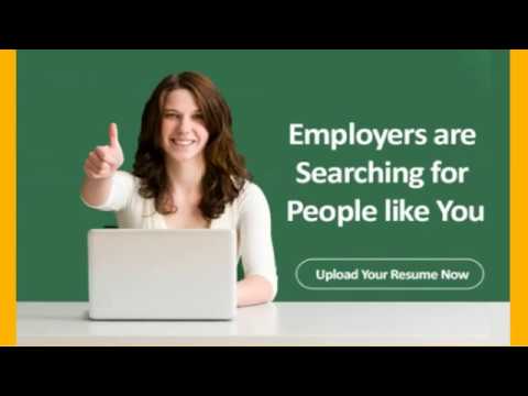 Best Online Job Portal In New Zealand