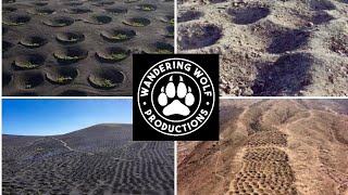 Wandering Wolf Travel Michael Collins  Megaliths of America \& the World! +Bernie Bonus Geoglyphology