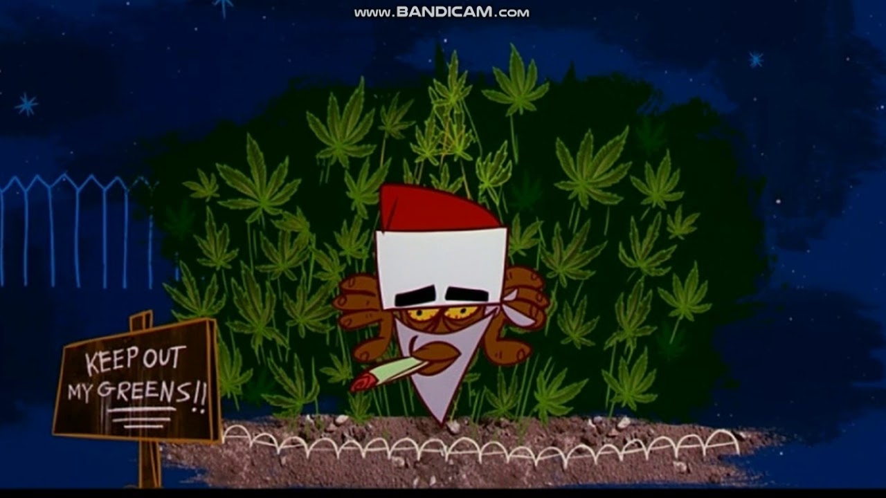 Opening to Friday After Next 2003 DVD