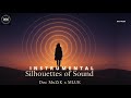 Silhouettes of Sound | Doc MuZiK &amp; MLUK | #bassboosted @YouTubeMusic #instrumentalmusic