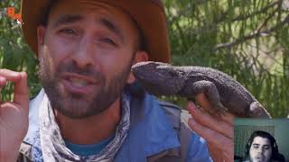 COYOTE PETERSON BEARDED DRAGON - Finally Caught One! REACTION!
