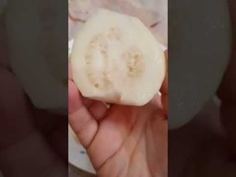 طريقتي في اكل الجوافه 