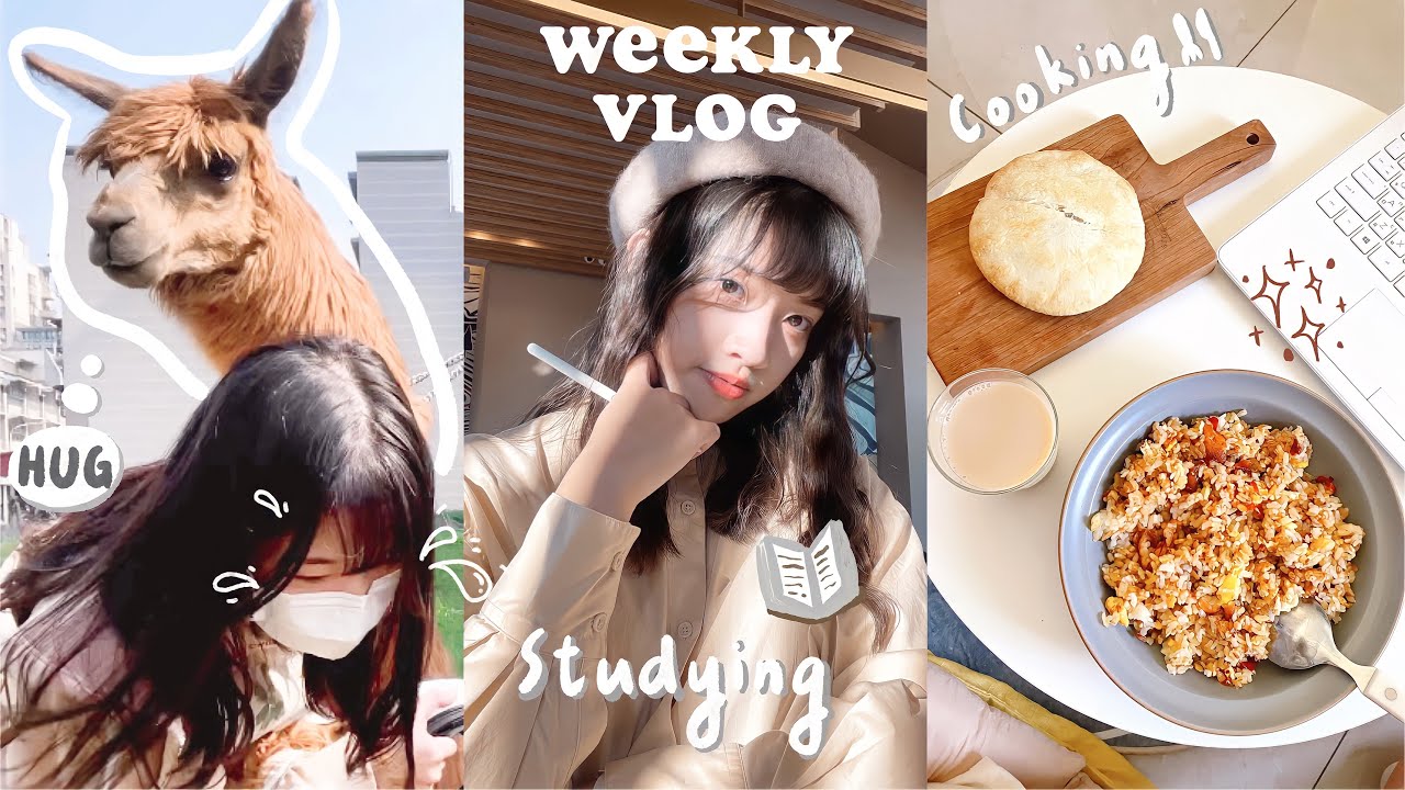 ✿ Weekly Vlog ✿ 忙碌的期中考週