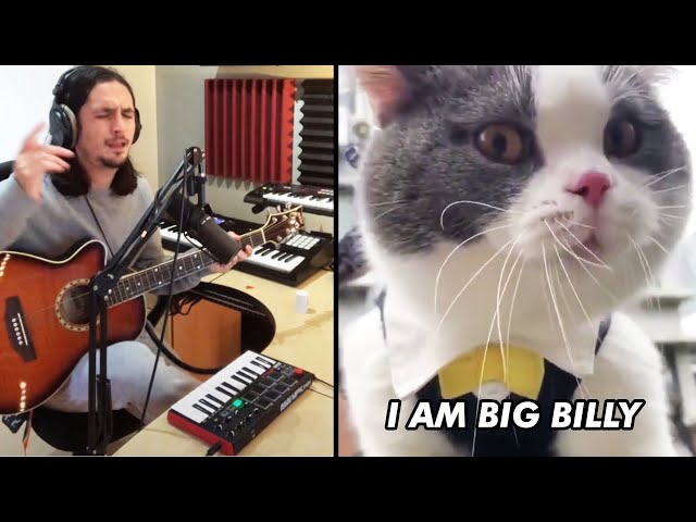 The Kiffness - Big Billy (Singing Cat) [FULL Version] class=