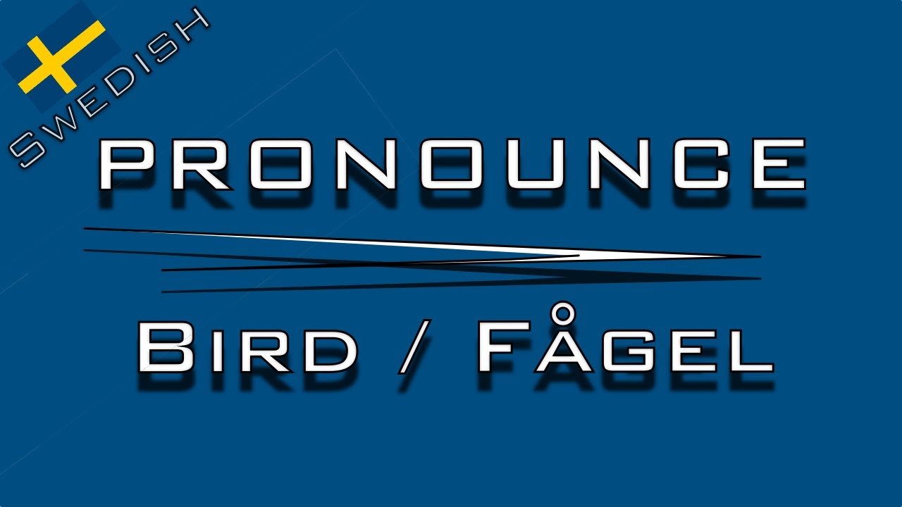 How To Pronounce Bird In Swedish YouTube how-to-pronounce-bird-in-swedish-youtube