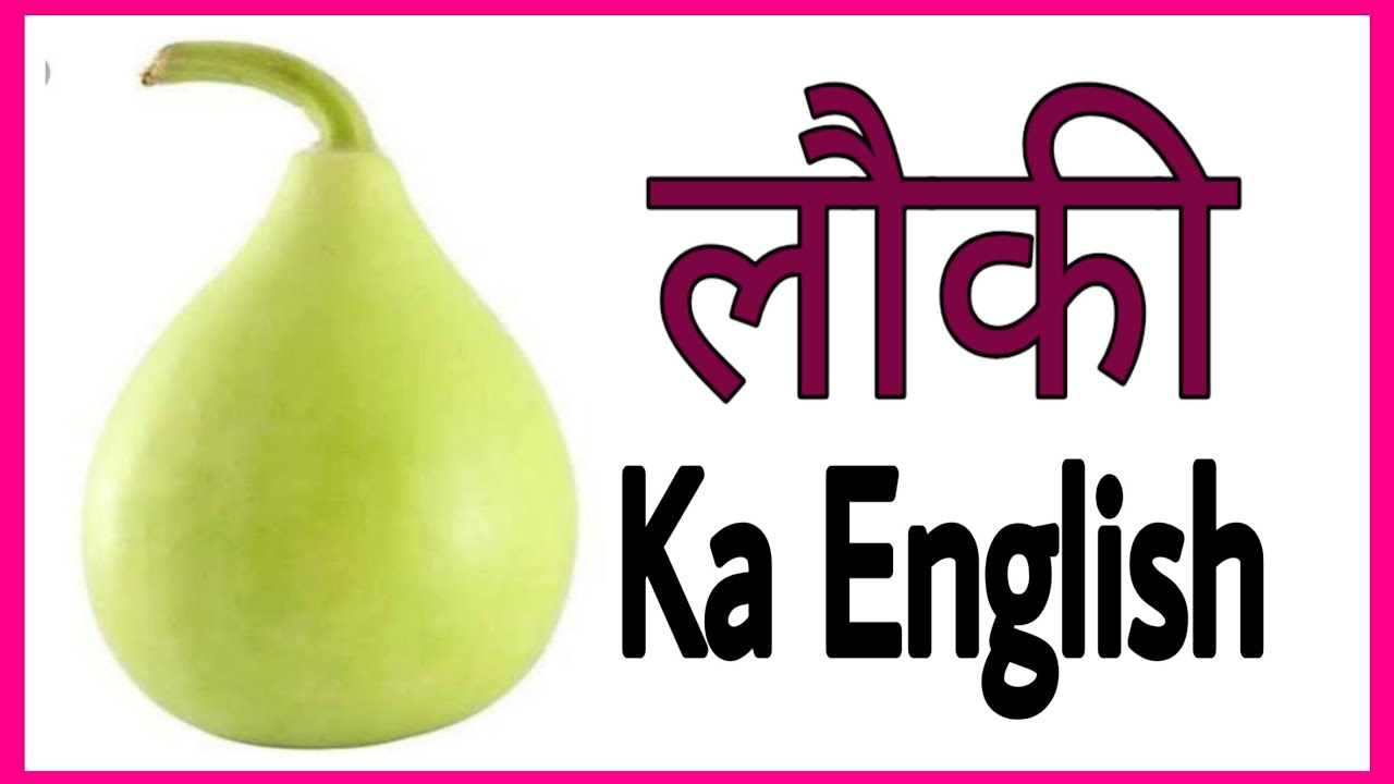 Lauki Ko English Mein Kya Kahate Hain Lauki Ko English Me Kya Kehte