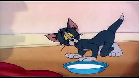 Tom and Jerry invisible mouse missing milk