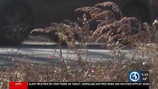 Wolcott police investigate suspicious brush fires around town