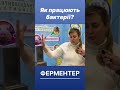 ФЕРМЕНТЕР - інкубатор бактерій