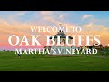 Visit oak bluffs marthas vineyards most colorful town