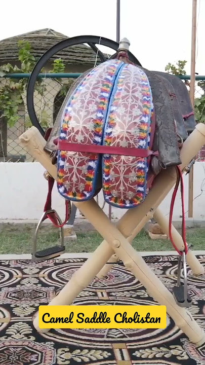 Camel Saddle (Pakhra) in Cholistan and Kaathi in Rajasthan #culture #rajasthan #cholistan #pakistan