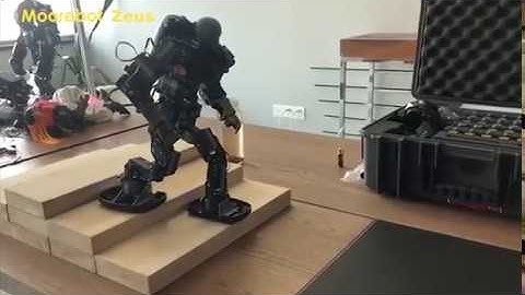 Moorebot Zeus Walks 001