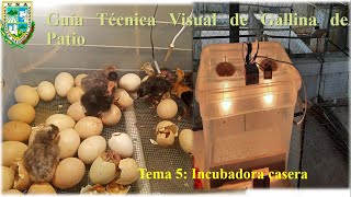 Guía Técnica visual de gallina de patio. Tema 5: Construcción de una incubadora casera