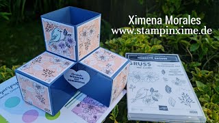 Anleitung Pop Up Karte mit Falttechnik: Triple Cube Card mit dem 