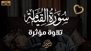 (كلا إذا بلغت التراقي) سورة القيامة كاملة مرئية(إصدار جديد) | القارئ أنس أحمد Surat Al-Qiyāmah