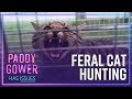 Why feral cats arent included in predator free 2050  paddy gower has issues