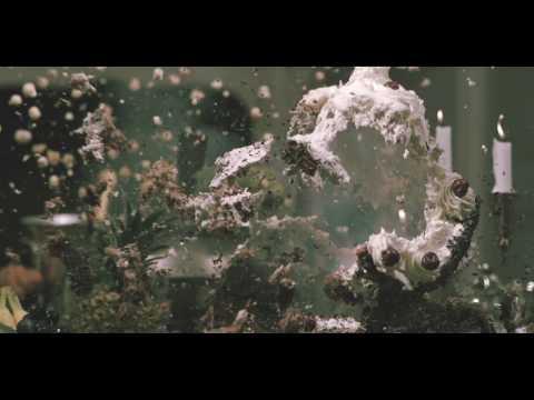 Black Box Revelation - "Sleep While Moving"