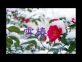 雪椿/小林幸子【泉谷満博 cover】(原曲+4)