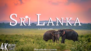 Sri Lanka 4K  Scenic Relaxation Film with Calming Music