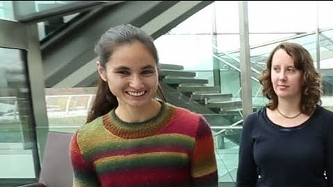 The Lab: Kristin Branson + Machine Learning