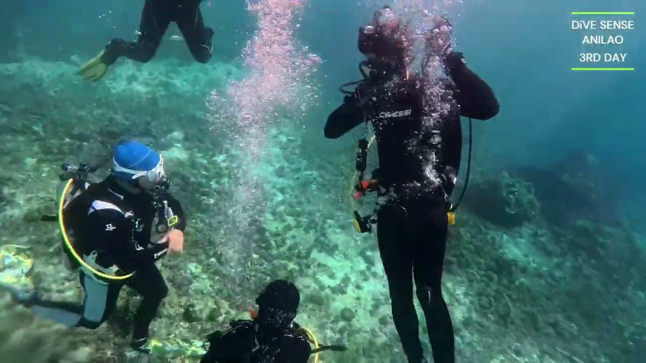 #anilao #philippines #scubadiving #diving #divingtour #divesense