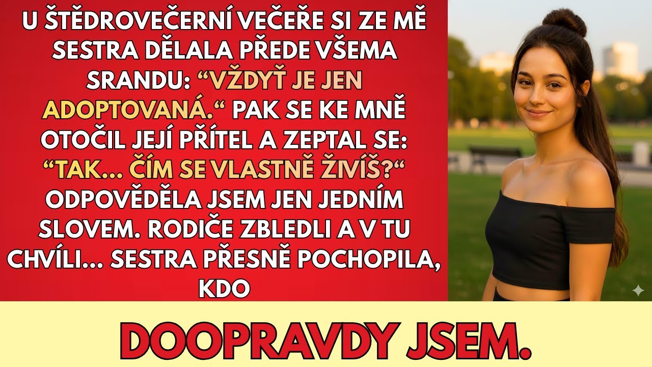 Sestra Se Mi POSMÍVALA U Štědrovečerní Večeře—Její Přítel Zbledl: “Počkej…Ty Jsi Ta Vyšetřovatelka?“