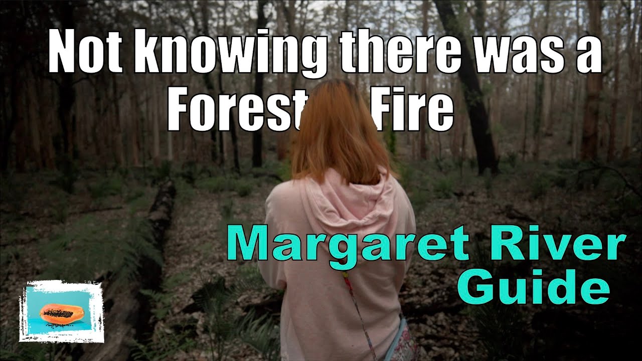 Margaret River guide | things to do