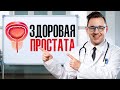 Сколько стоит здоровая простата?