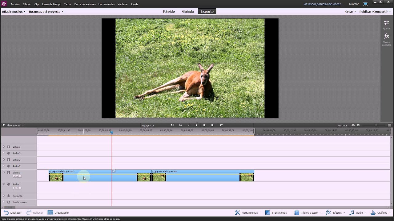 adobe premiere elements 13 reviews adobe premiere elements 13 reviews