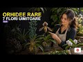 ✔️ 2 cele mai rare Orhideei 🔴 + 7 flori rare