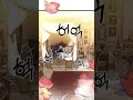 ✨Chapter 1✨Princess wants to die in peace😱 #manhua #manhwa #trending #manhuarecommendation