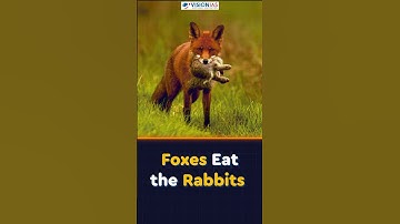 Quick Revision Material (UPSE Prelims 2024) for Environment