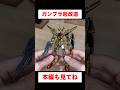 【ガンプラ改造】HGアカツキを2個1で現代版にグレードUP！#ガンプラ初心者 #ガンプラ塗装 #gunpla