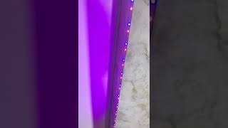 Music Sync Led Strip 2835 SMD part 2