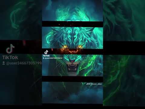 مهرجان انا الاسد