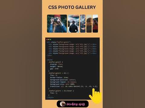Try this amazing CSS Photo Gallery with Hover effect with HTML/CSS # ...