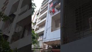 Society Building common premises area termite treatment given my self service provider solution.