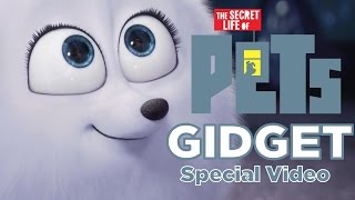 Gidget - Secret Life Of Pets (Special Video)