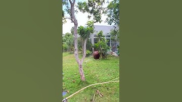 A Toàn Cần Giải Quyết Một Số Công Việc Buộc Phải Bán Nhà Vườn Nghỉ Dưỡng Tâm Huyết Ở BR-VT#shorts