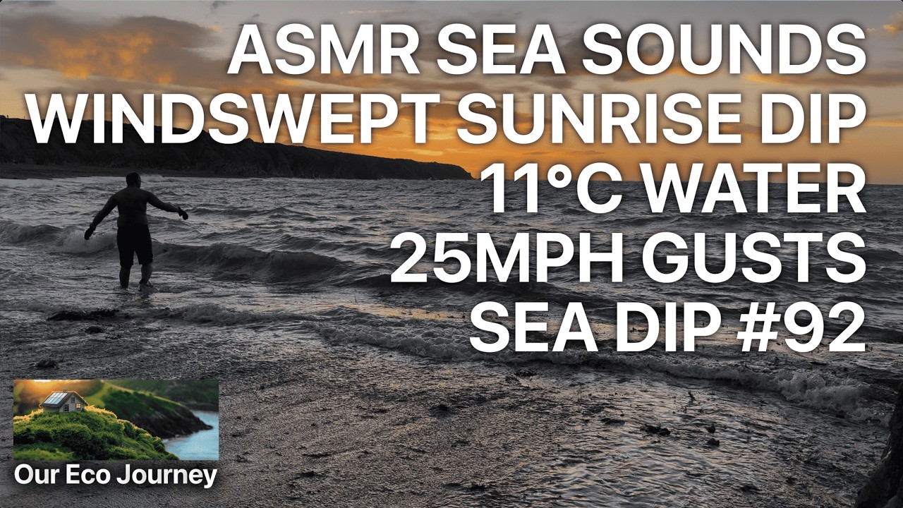 ASMR Sunrise Sea Dip #92 | Golden Hour Cold Water Therapy (11°C) | Windswept Beach Sounds