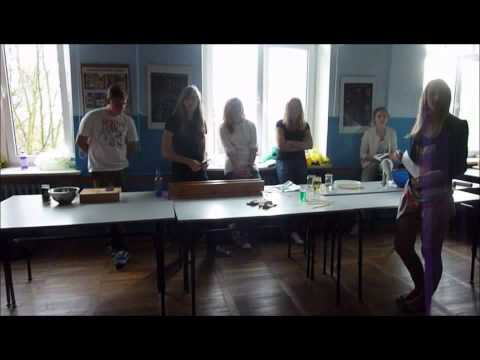 COMENIUS MEETING IN