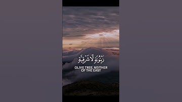 سورة #النور بصوت #الشيخ #عبدالوالي_الاركاني #السعودية #اكسبلور #المغرب #الجزائر #القرآن_الكريم #لايك