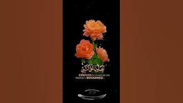 صباح الخير🧡حالات واتساب مقاطع قصيره قران كريم ان الله وملائكته يصلون على النبي احمدالنفيس🧡بدون حقوق