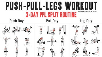 3 Day Push Pull Legs (PPL) Workout Routine
