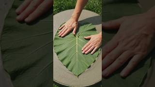 ​Genius Garden DIY: Beautiful Leaf Print Stones! ✨#USA#shorts