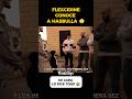FLEXCIDINE conoce a HASBULLA #hasbulla #flexcidine #vlog #parati