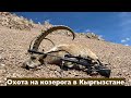 горная охота на козерога в Кыргызстане