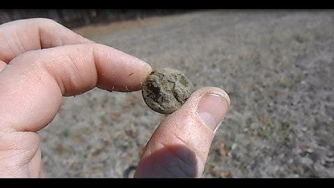 Metal detecting - Civil War history in the woods with E-Trac