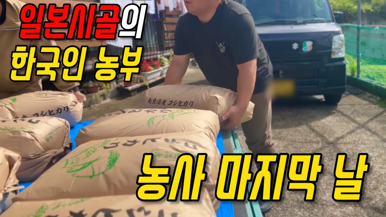 흙이 품었던 햇살은, 이제 사람들의 식탁으로.