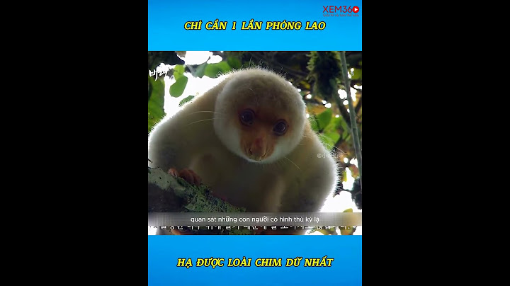 Thổ dân săn bắt động vật bằng phóng đao bách phát bách trúng #videoshort #shortvideo